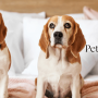 Pet Friendly Rentals: Policies, Fees & How to Get Approved