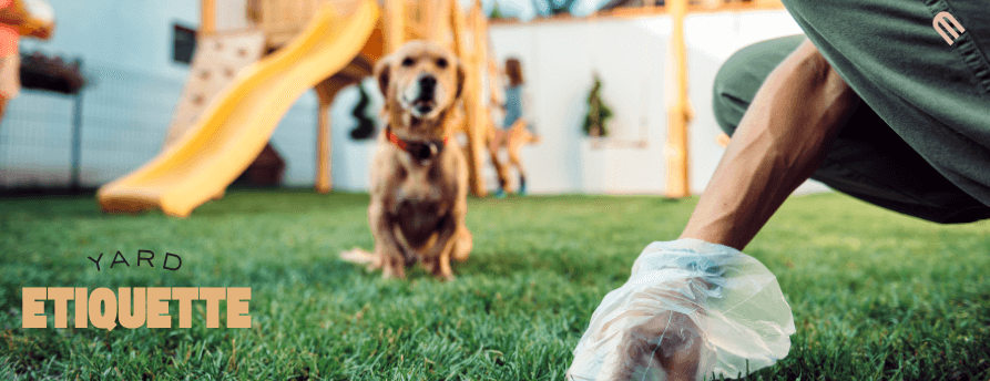 Dog owner picking up pet waste in the yard of a Midland rental home.